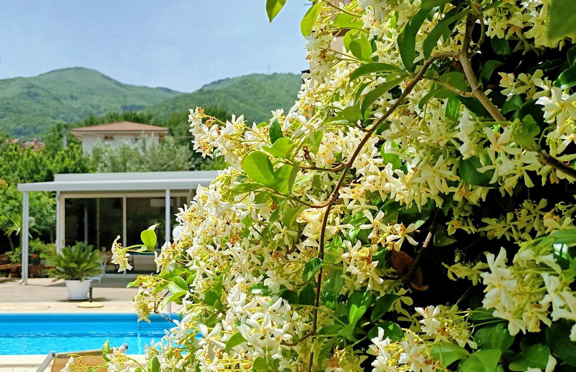 Bed and Breakfast La Residenza Del Marchesato Marano Marchesato Zewnętrze zdjęcie